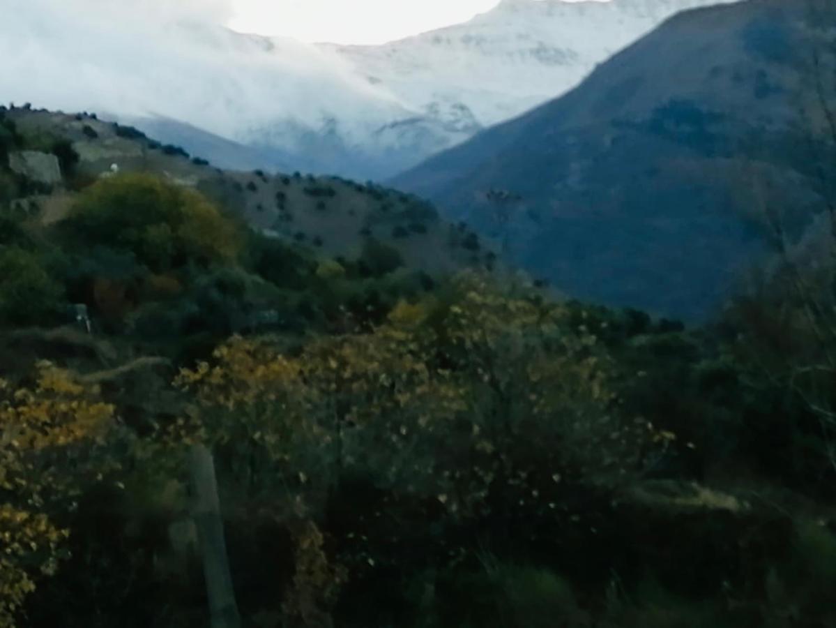 El Hogar De Mercedes Güéjar Sierra Exterior foto